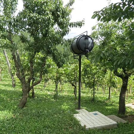 Vulcano Vendeghaz Kisapati