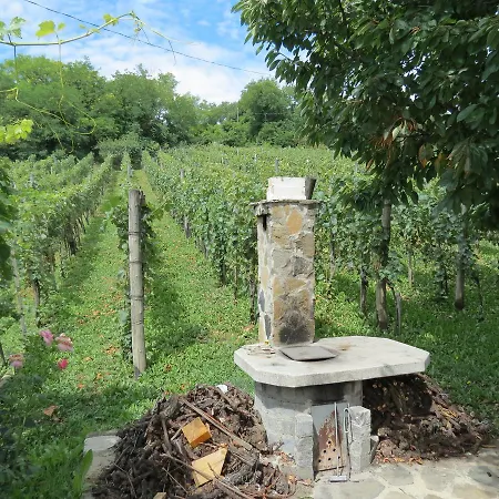 Vulcano Vendeghaz Appartement