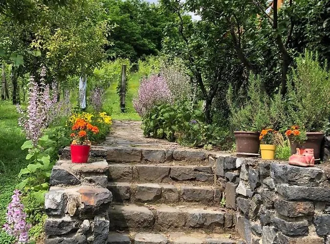 Appartement Vulcano Vendeghaz