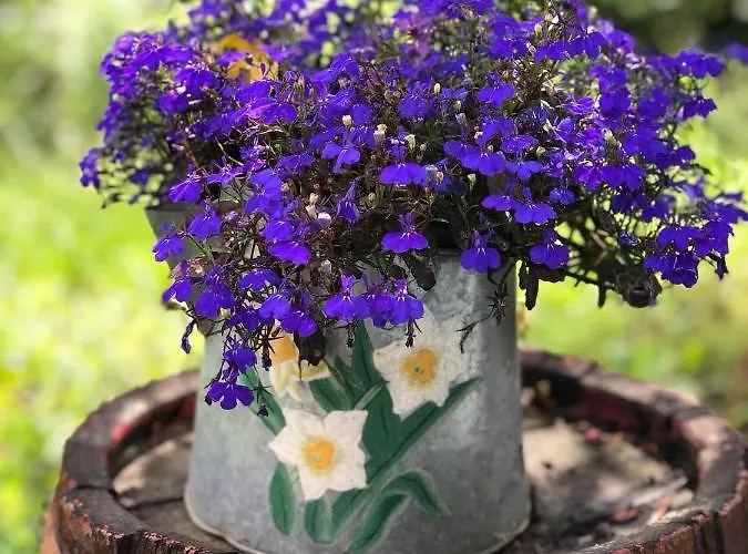 Appartement Vulcano Vendeghaz