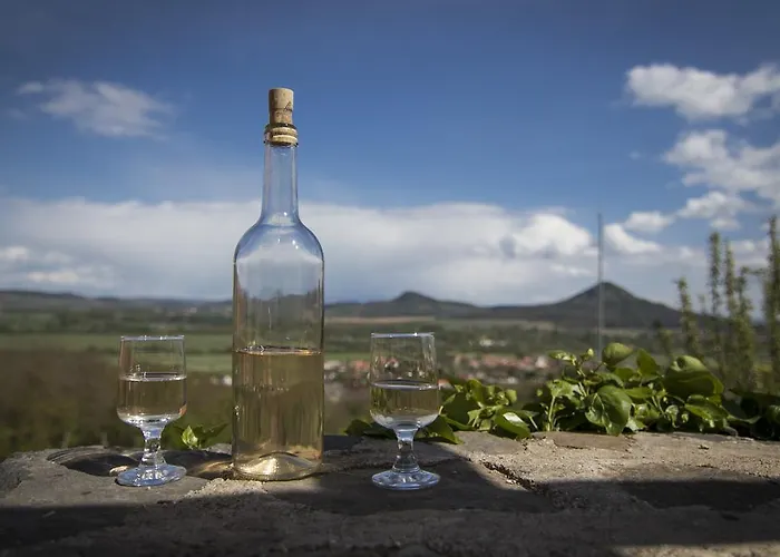 Apartment Vulcano Vendeghaz