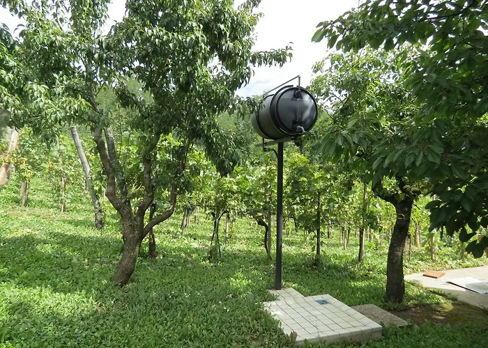 Vulcano Vendeghaz Kisapati