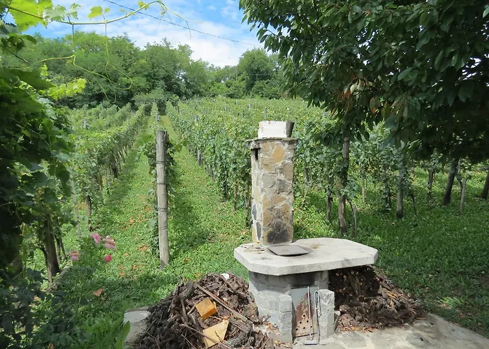 Vulcano Vendeghaz Apartment